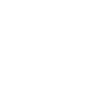 logo-maelcorp-blanc