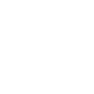 VW_Logo_reg_white